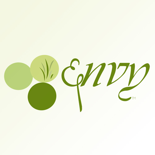 envy elk grove